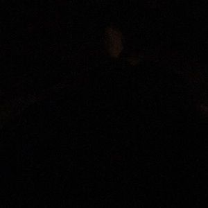 Meet your Posher, Frank